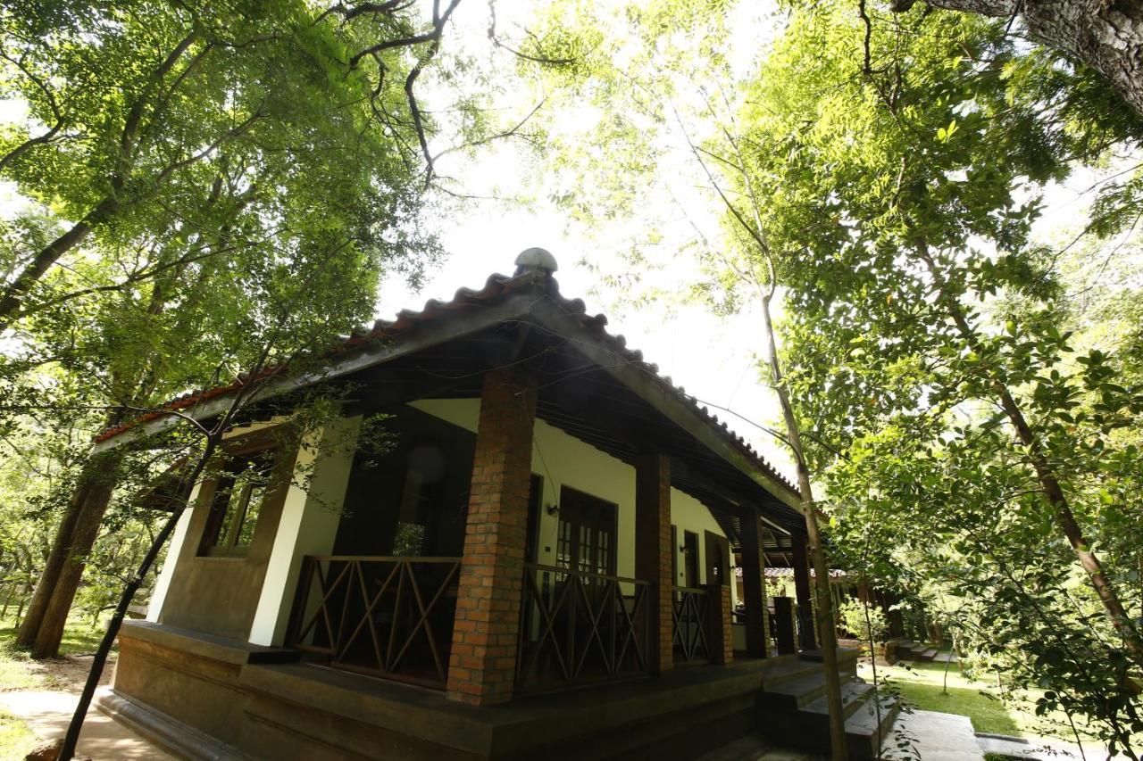 Palm Garden Village Hotel Anuradhapura Eksteriør bilde